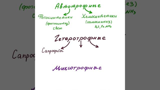 Типы питания Подготовка к ЕГЭ 2021 по биологии и химии смотреть онлайн