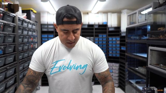 Got Lucky Cutting These Snake Eggs Open! смотреть онлайн