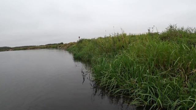 Kosadaka Flash XS 110F делает рыбалку. Сплав по реке Березина. Хороший окунь на Gekiasa II 105SP смотреть онлайн