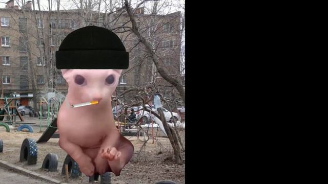 Флаг когда ты родился: (автор шаблона @Russki_kot_floppa228) смотреть онлайн