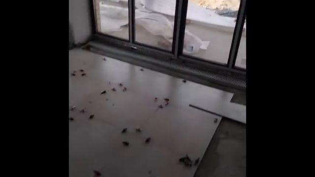 Немного о себе смотреть онлайн