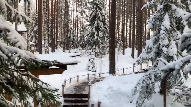 Замена алюминиевых дверей без замены дверной коробки смотреть онлайн