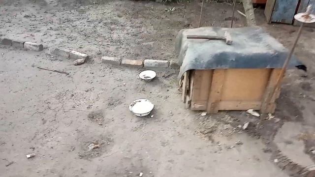 Кручу поросятам хвосты за их шкоду. Поездка за строй материалами. Установка столбов зернохранилища. смотреть онлайн