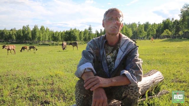 Сафари Богучанского района. Мараловое хозяйство в окрестностях Невонки. смотреть онлайн