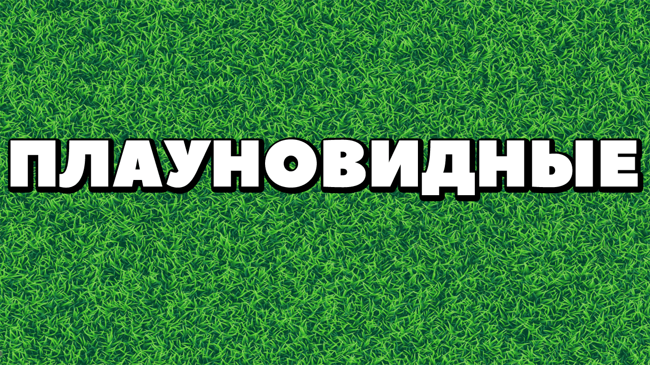 ЕГЭ по БИОЛОГИИ.Ботаника.Плауновидные.Жизненный цикл плаунов..mp4