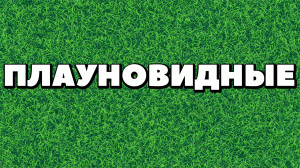 ЕГЭ по БИОЛОГИИ.Ботаника.Плауновидные.Жизненный цикл плаунов..mp4