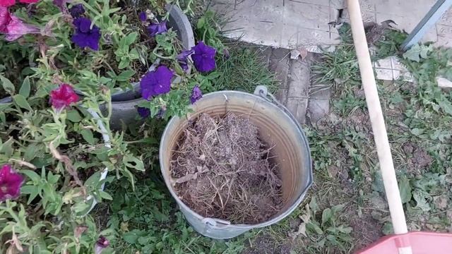 ВСЕ ПОШЛО НЕ ПО ПЛАНУ! Каковы итоги вспашки, выравнивания земли и посадки газона? смотреть онлайн