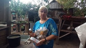 Болезни кроликов" Мокрый хвост"