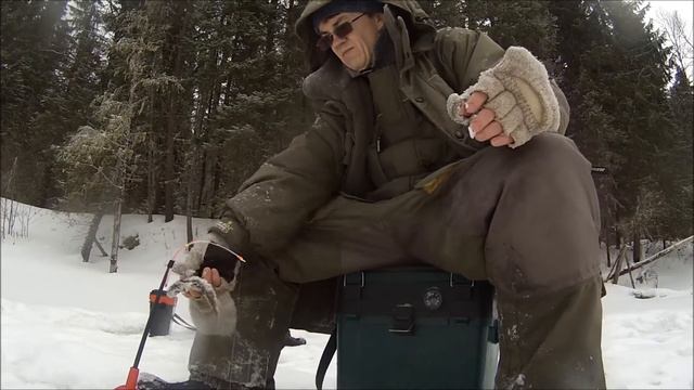 Снова в тайге Коми. Хариус. смотреть онлайн