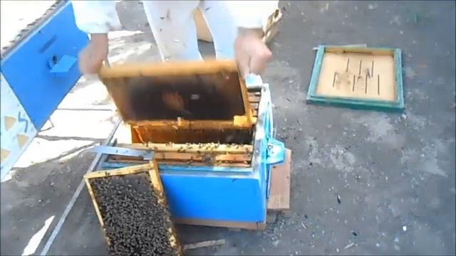 Как сделать вентиляцию в улье с двумя матками ? смотреть онлайн