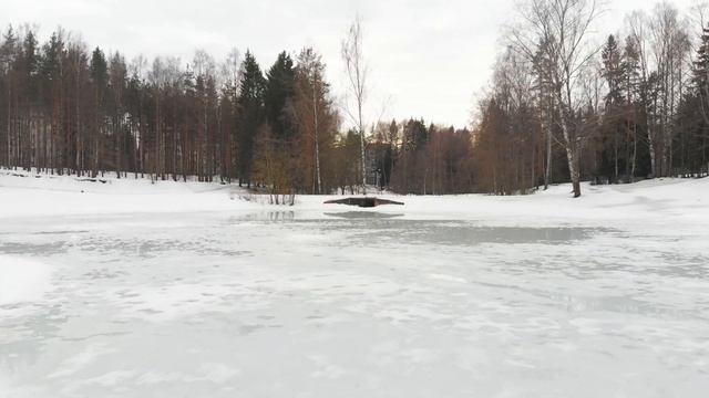 Водоем в Сертолово смотреть онлайн