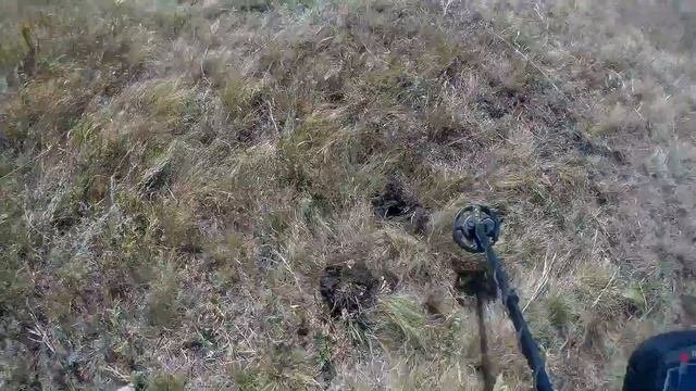 Поиск золота с Сигнум MFD 7272