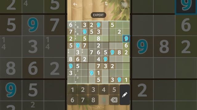 Brainium sudoku level: expert (game 9) смотреть онлайн