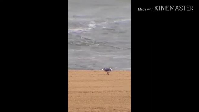 Не Золотом Тленным смотреть онлайн