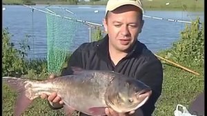 Ловля толстолобика на удочку на технопланктон