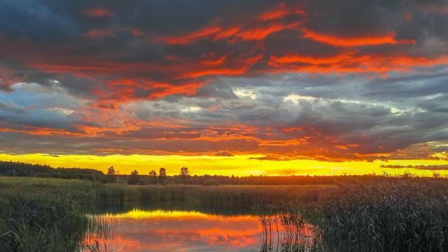 905. ♫J.S.Bach -Concerto No.1 In A Minor For Violin And String Orchestra BWV 1041.I.Allegro Moderato смотреть онлайн