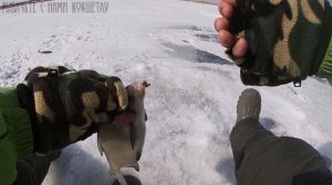 ЧТО ЭТО??? НЕ МОГУ ЗАВЕСТИ В ЛУНКУ\ЛЕЩ С ГЛУБИНЫ\РЫБАЛКА В КАЗАХСТАНЕ\ЧАГЛИНСКОЕ ВДХР