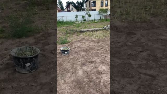 Дорожки в Кудиново люкс смотреть онлайн