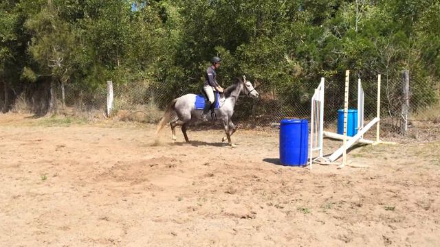 Sophie jumping a small cross rail 8th September 2015 смотреть онлайн