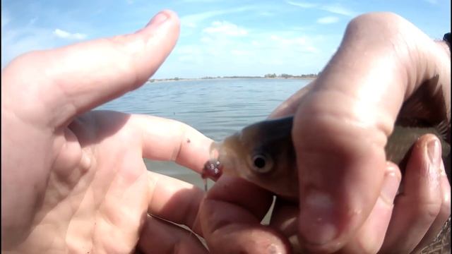 весенняя ловля карася на болонскую удочку смотреть онлайн