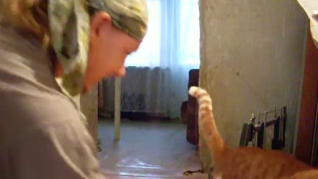 Персик! Фас! смотреть онлайн
