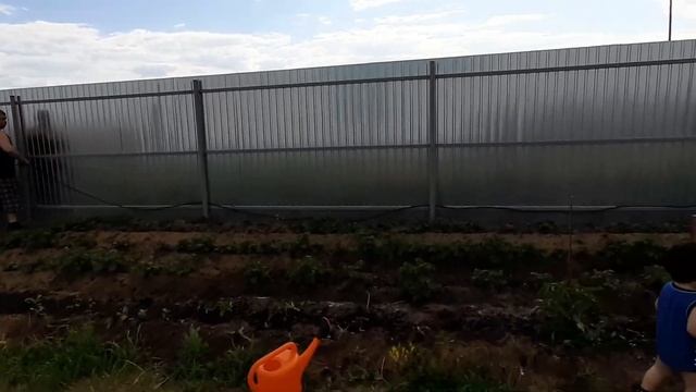 1 июля. Отдыхаем. Поливаем огород. смотреть онлайн