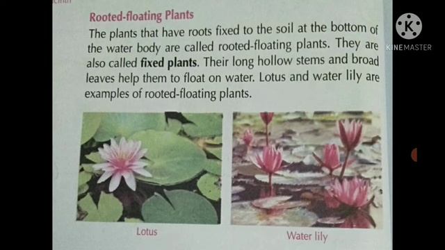 Class 5 EVS, Chapter -11 (Aquatic Life) смотреть онлайн