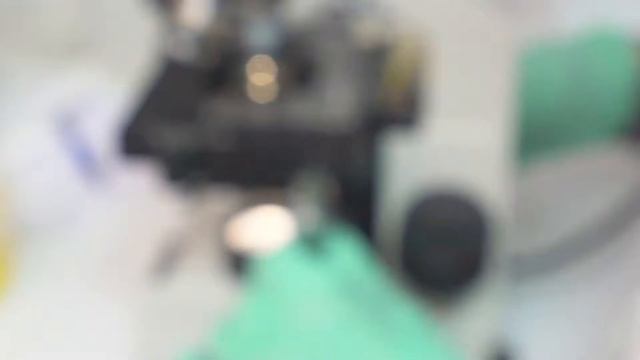 Мёд оптом и еще более 10000 товаров смотреть онлайн