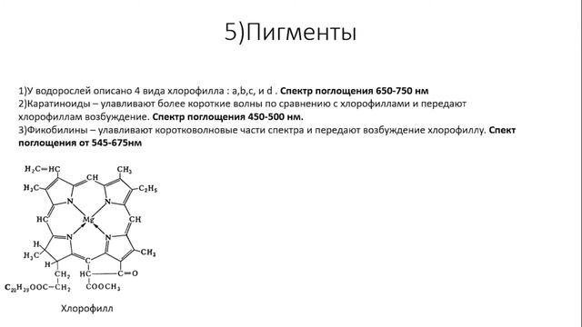 Систематика водорослей смотреть онлайн