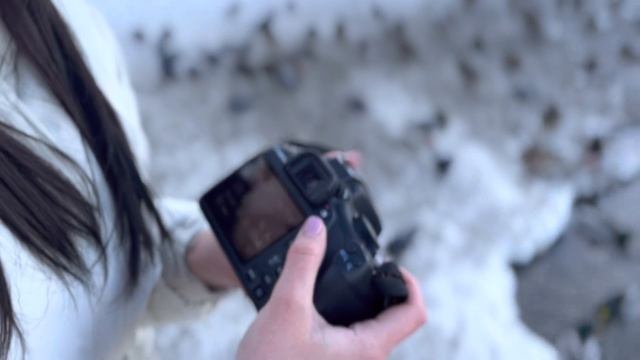 Фото на телефон и фотоаппарат | Какая камера лучше? смотреть онлайн