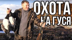Охота на гуся на севере. Дикий гусь. Охота с манком. Охота с чучелами. 2022