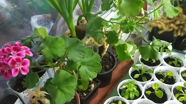 14.03.22/В описании - где меня искать!!/Устала видимо - почти ничего сегодня и не сделала( смотреть онлайн