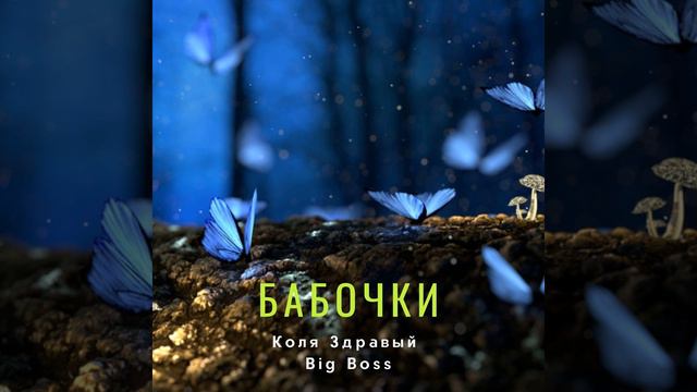 Коля Здравый, Big Boss - Бабочки смотреть онлайн