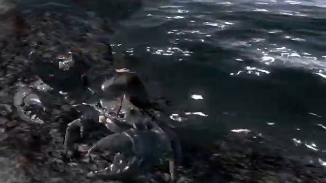 SKYRIM MOD Posh Mudcrap Voice