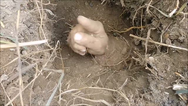 Деда Земляного фигушка смотреть онлайн