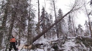 «МОРОЗ -25» РАБОТАЕМ В ЛЕСУ НА ТДТ 55 ТРЕЛЕВОЧНИК | УРАЛ 4320