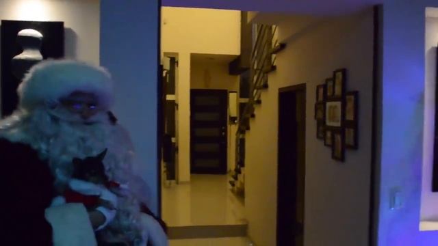 Espiando a Santa Claus - El Show de Bely y Beto смотреть онлайн