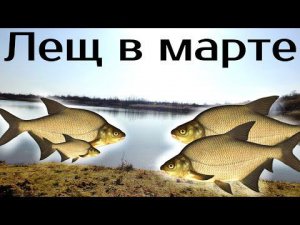 Где искать леща в марте? Где стоит лещ в марте? Где ловить леща в марте?