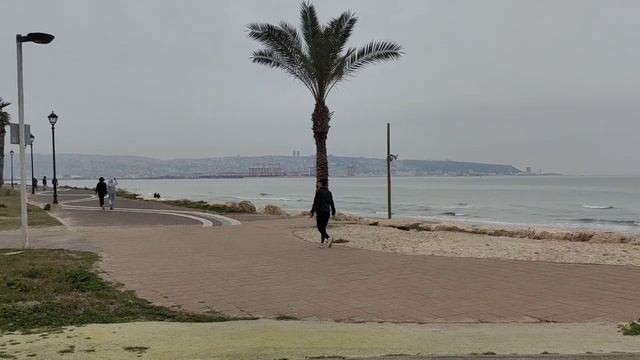 Ульпан в Кирьят Ям Крайот Израиль смотреть онлайн