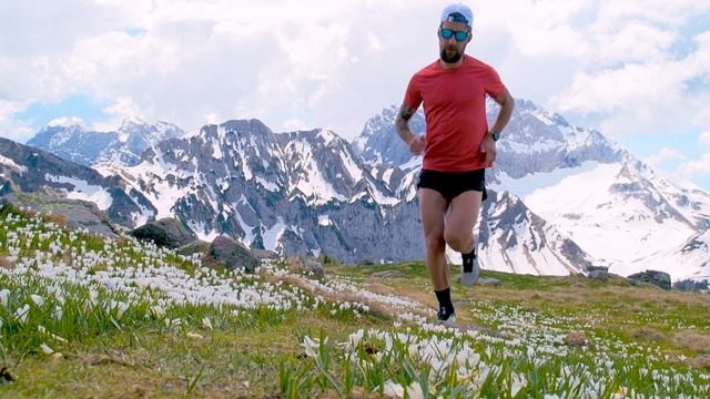 Тайные царства оккультный тайм-аут