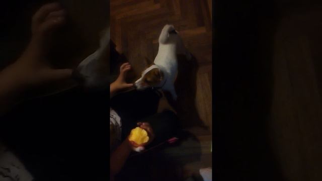 Сейчас будет гром!!!!!!!!!! смотреть онлайн