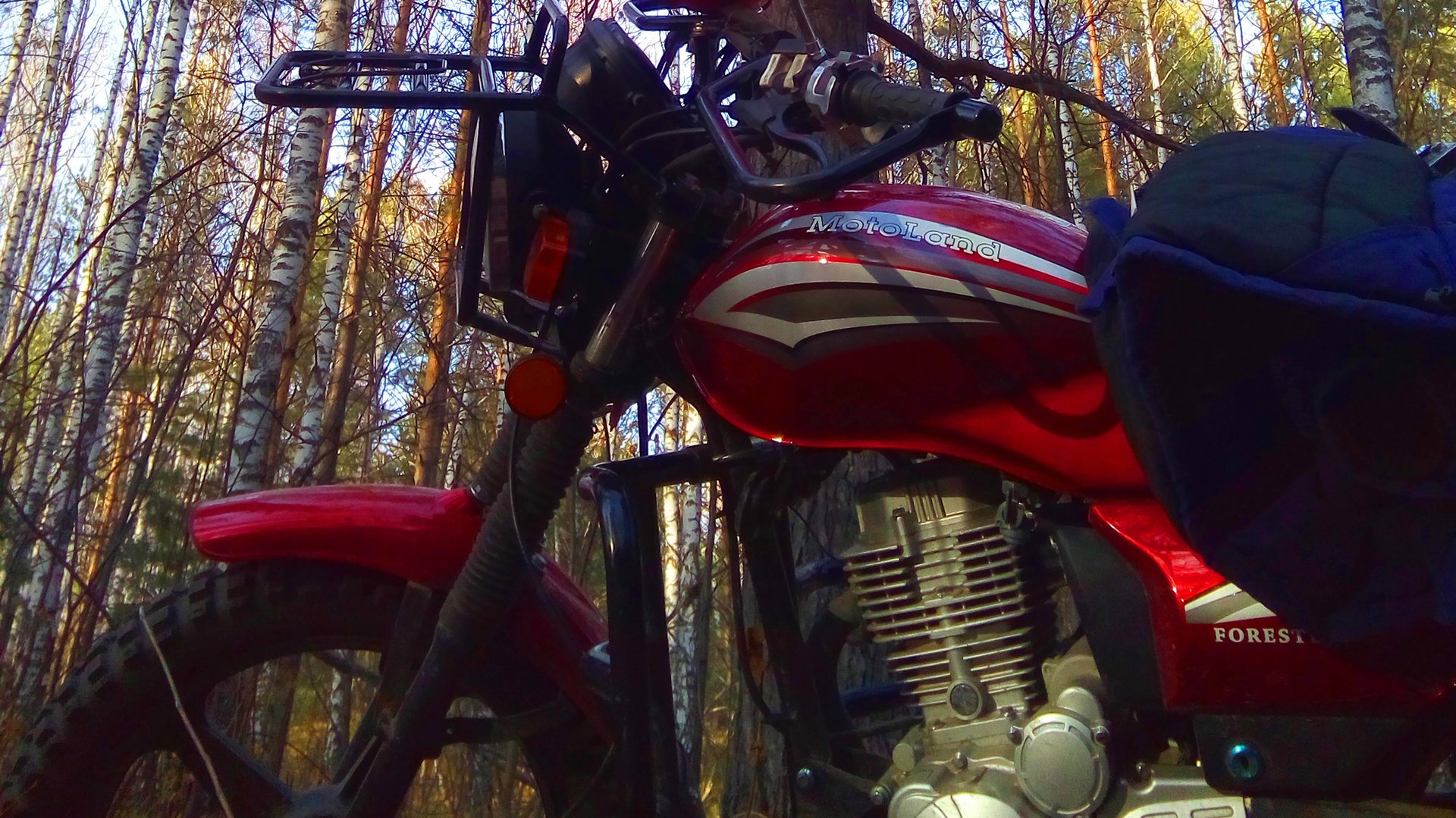 Motoland Forester 200