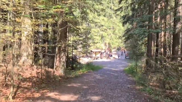Чёртово озеро. Чехия. смотреть онлайн