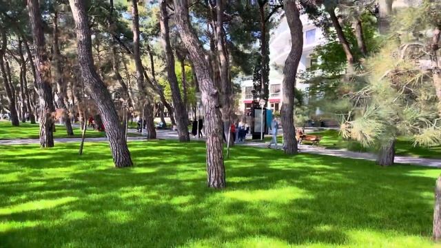 Я просто потрясен от увиденного Геленджика. А не переехать мне ли жить в Геленджик? смотреть онлайн