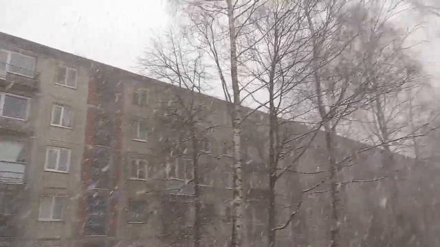 ❄❄Сильный буран в Спб 1 декабря. Зима началась!❄❄ смотреть онлайн