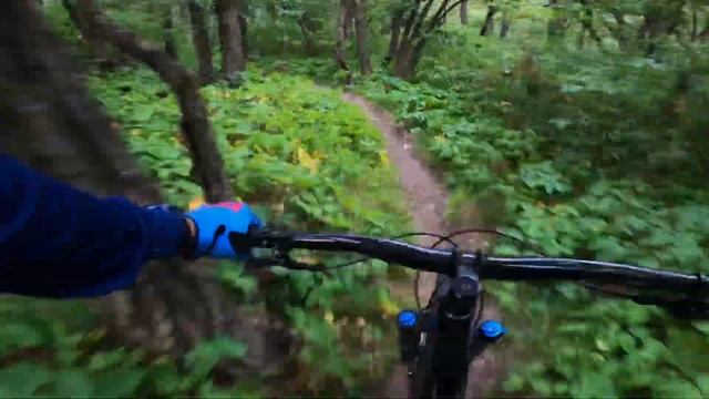X-Caliber 8 Vs Roscoe 8: 5 Reasons You Should Buy The X-Caliber 8!