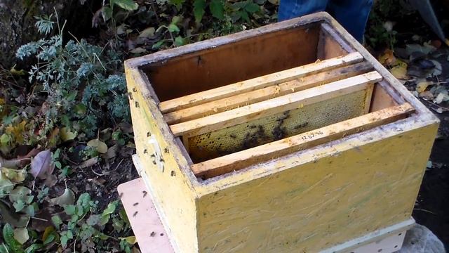 Карника ИО-50, третья осень... смотреть онлайн