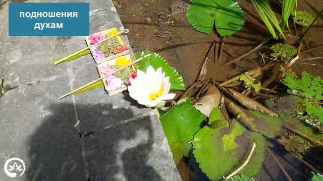 Храмовый комплекс Gunung Kawi, Бали. Гробница императора острова. смотреть онлайн