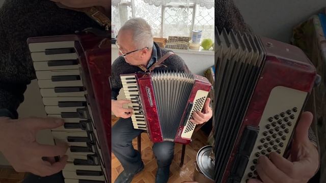 Weltmeister Stella piano accordion, 3/4 accordion, 80 Bass, 34 keys, 3 voices, 5+3 registers смотреть онлайн