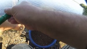 Рыбалка озеро Святое, Шатура